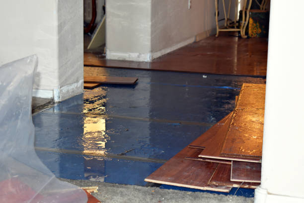 Professional Basement Flood Cleanup technician working in Irvington, NY